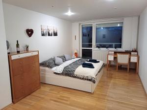 Apartmán Gerlach - 4 balconies mountain view