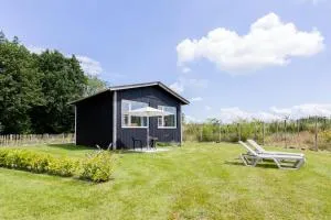 Tiny house XL - De Kremmer - 吉耶敦