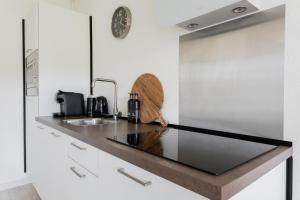 Tiny house XL - Vakantiepark De Kremmer