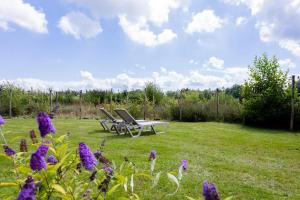 Tiny house XL - Vakantiepark De Kremmer