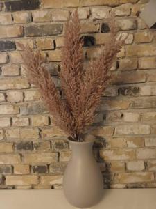 attic apartment in the center