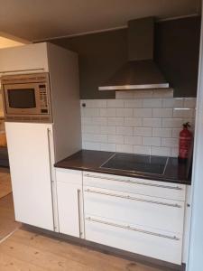 attic apartment in the center