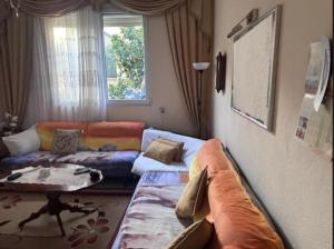 Villa e Verdhe Elbasan, Albania