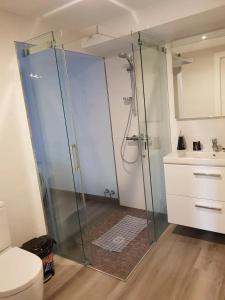 Appartements Appartement charmant a Sare avec vue sur la montagne : photos des chambres