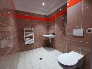 Maisons de vacances Grand gite de groupe le Val d-Allier confortable 15 personnes Saint-Haon Haute-Loire Auvergne : photos des chambres