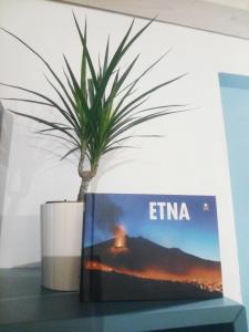 Casa Vacanze