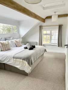 The Pines, by Birch Stays