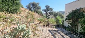 Appartements Les pieds dans l'eau ! : photos des chambres