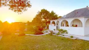 Basic Apartments - Ferienhaus Basic Croatia Vir Island - Pedinka