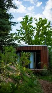 Las Nandinas - Olivo - 卢汉德库约