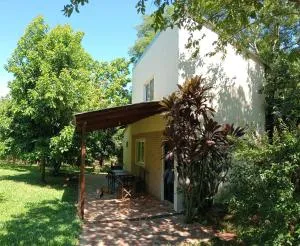 Selva Lunar - Tres Fronteras