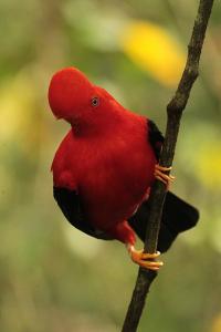 Loft para grupos parqueadero gratis LIRIO