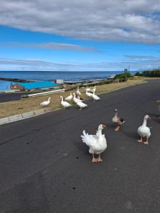 DK Dream Self Catering 2 Bedroom Apartment