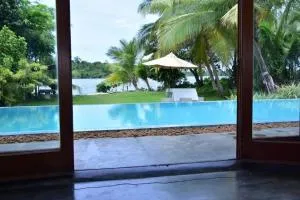 red mangrove - Arachchimulla