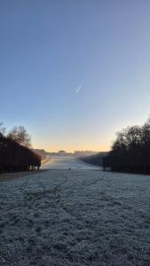 Appartements So Cosy Home Paris-Sceaux/Bourg-la-Reine. : photos des chambres