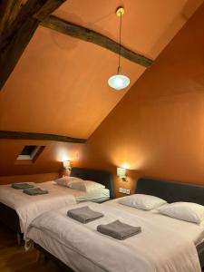 Maisons de vacances La Sinaise : photos des chambres