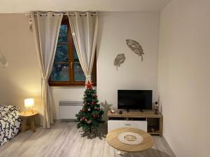 Appartements Studio Cocon de Plumes : photos des chambres