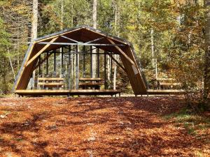 Chalets Chalet l-elephant : photos des chambres