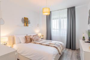 CASAMORE Rentals