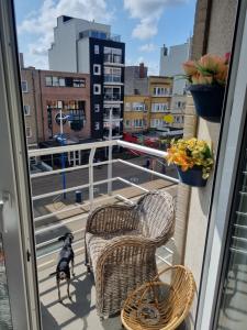 Superbe appartement à koksijde (coxyde)