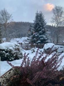 Apartmány U Sýkorky