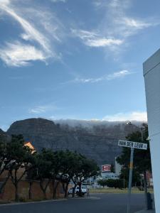 The White House - Zonnebloem