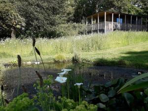 Longtails Lodge, near Bantham
