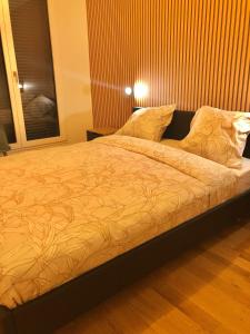 Appartements Appartment near lake Panorama and Paris : photos des chambres