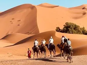 Camel Luxury Camp - Merdoni