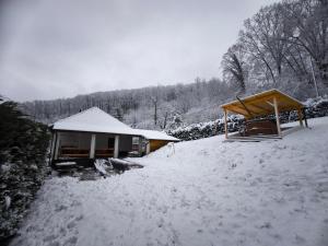 Forest Residence Miskolc