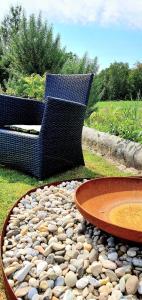 Vakantiehuisje the Birds Nest met jacuzzi