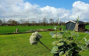 Vakantiehuisje the Birds Nest met jacuzzi