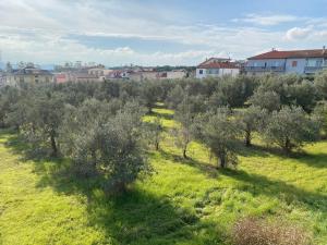 Almond b&b