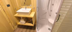 alquiler temporario en villa la angostura