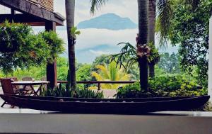 Casa finca Pool & Jacuzzi, Tropical Oasis