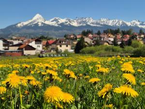 Apartmány Anička vo Važci