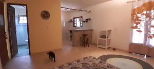 Espaço Crisântemos Búzios