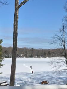 Dreamy Lake House - Fireplace, Firepit & Pet Friendly