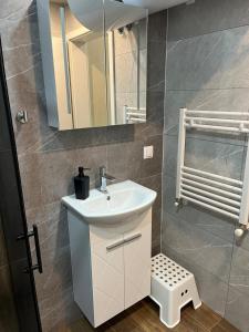 Comfort Airport Metro Suite