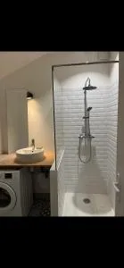 Maisonnette en bois - 马恩河畔布里