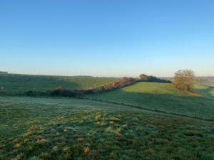 L Instant d une nuit