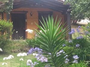 Vale do Piemonte - Chalé com hidromassagem -
