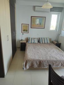 Greece-Kyllini am Strand ruhiges OG, Tierfreunde