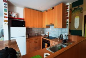 Appartement-maison avec jardin