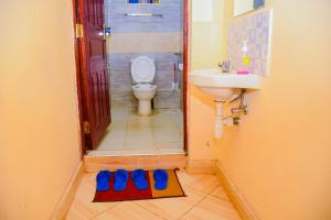 Hossanah Furnished one bedroom in Kasarani,Nairobi