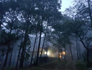 Cabaña Ana Paula, Mazamitla, Jalisco