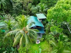 Casa Aire Libre - Dos Brazos