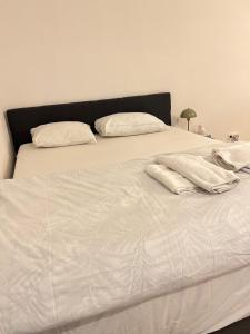 Brussels City Chambers