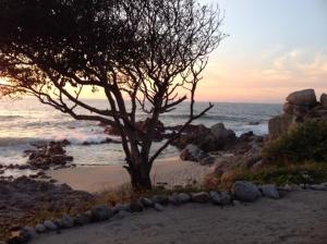 Casa Selva Private Beach Apartment