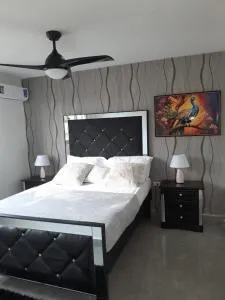 Deluxe One Bedroom Apartment in Kingston - Niger Corner